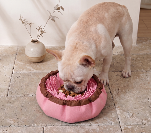 Dog Snuffle Mat and Anti-Choke Dog Bowl